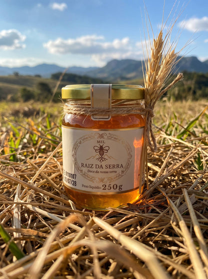 Mel Puro da Serra Gaúcha 250g | O Sabor Verdadeiro da Natureza
