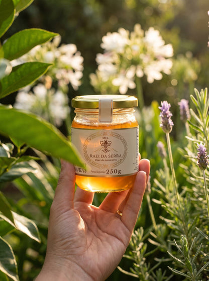 Mel Puro da Serra Gaúcha 250g | O Sabor Verdadeiro da Natureza